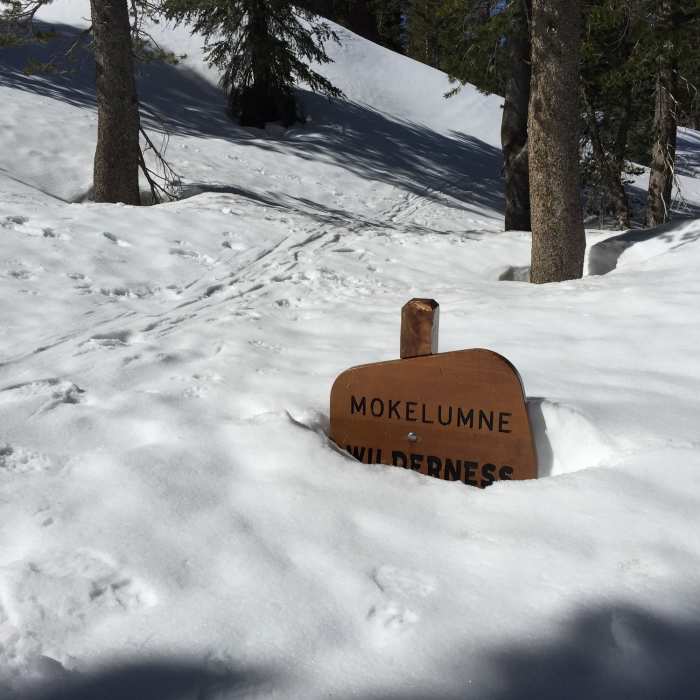 Late April snow nearly buried the sign at the beginning of the trail. Near Winnemucca Lake and Elephant's Back