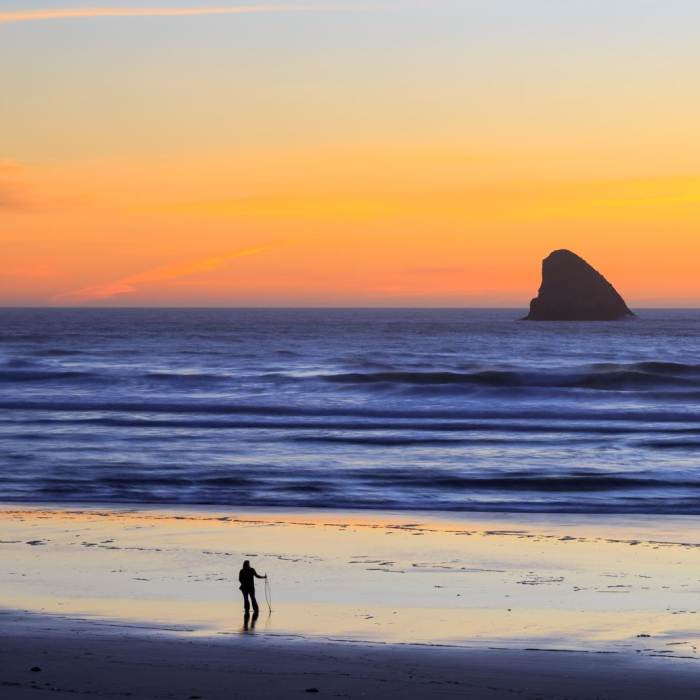 Near Cape Meares Big Spruce + Beach Trail