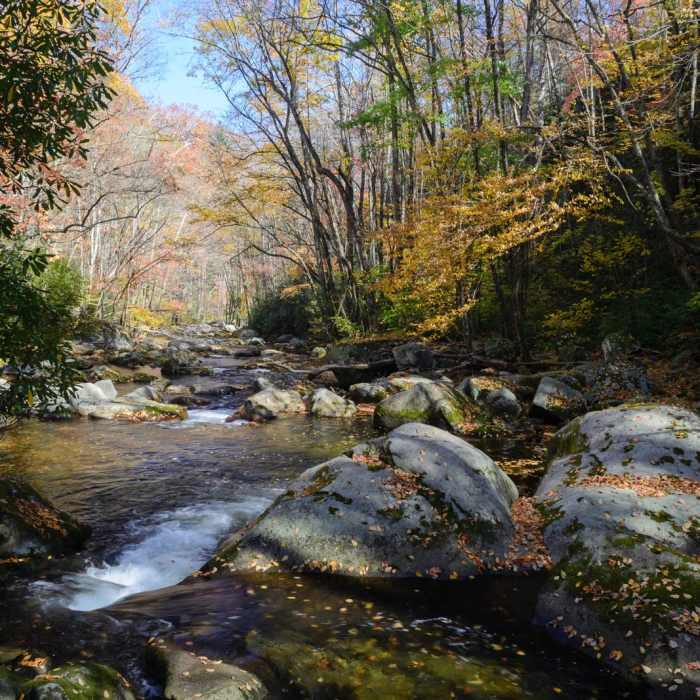 Near Big Creek Trail to Mouse Creek Falls Near Big Creek Trail to Mouse Creek Falls