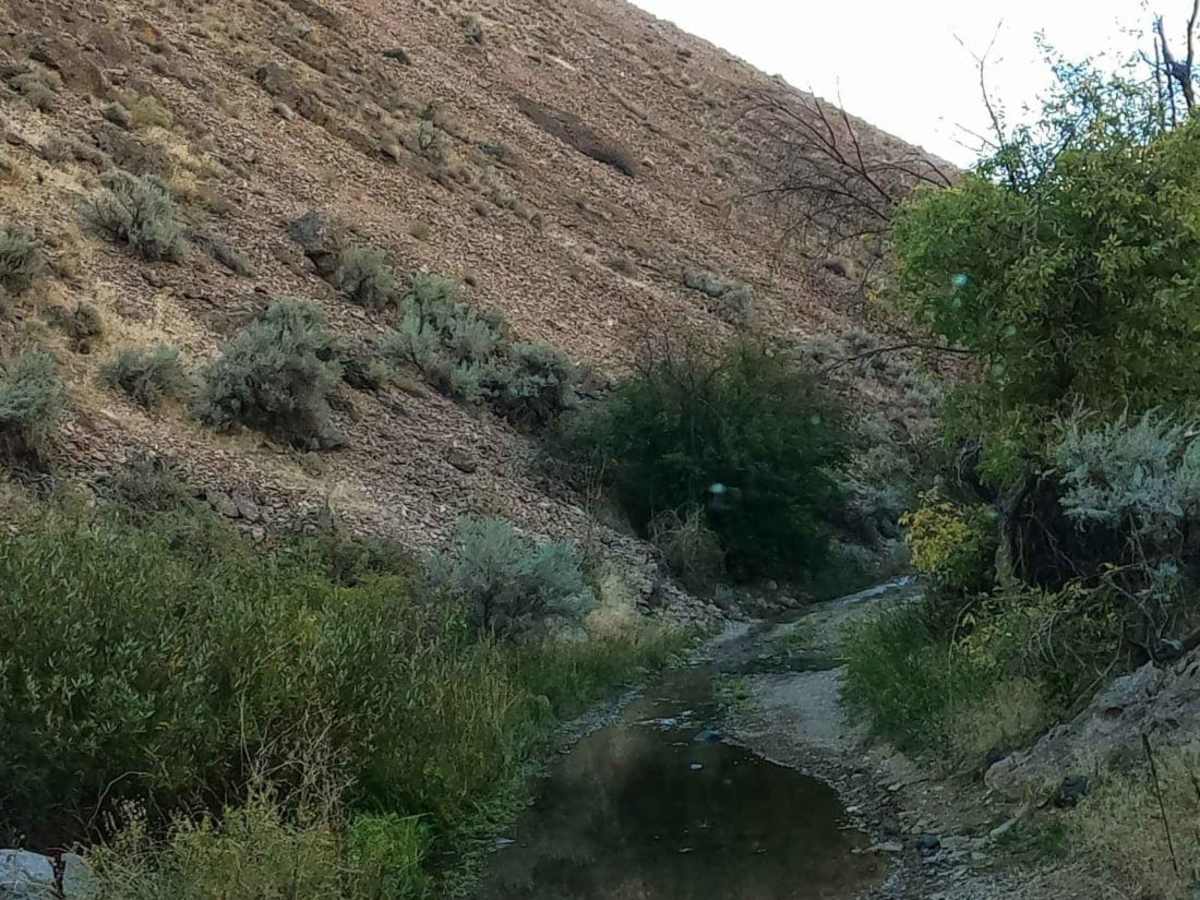 Birch Creek Road photo 4