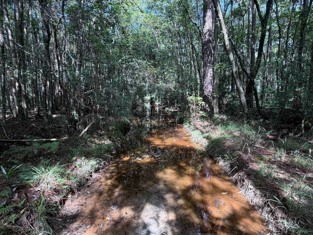Blackwater River R76 trail photo