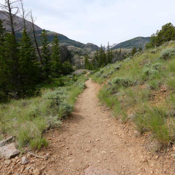 Near Lake Louise Out and Back