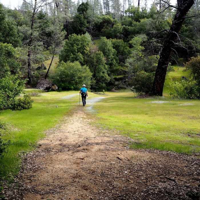 Near Mt. Shasta Mine Trail