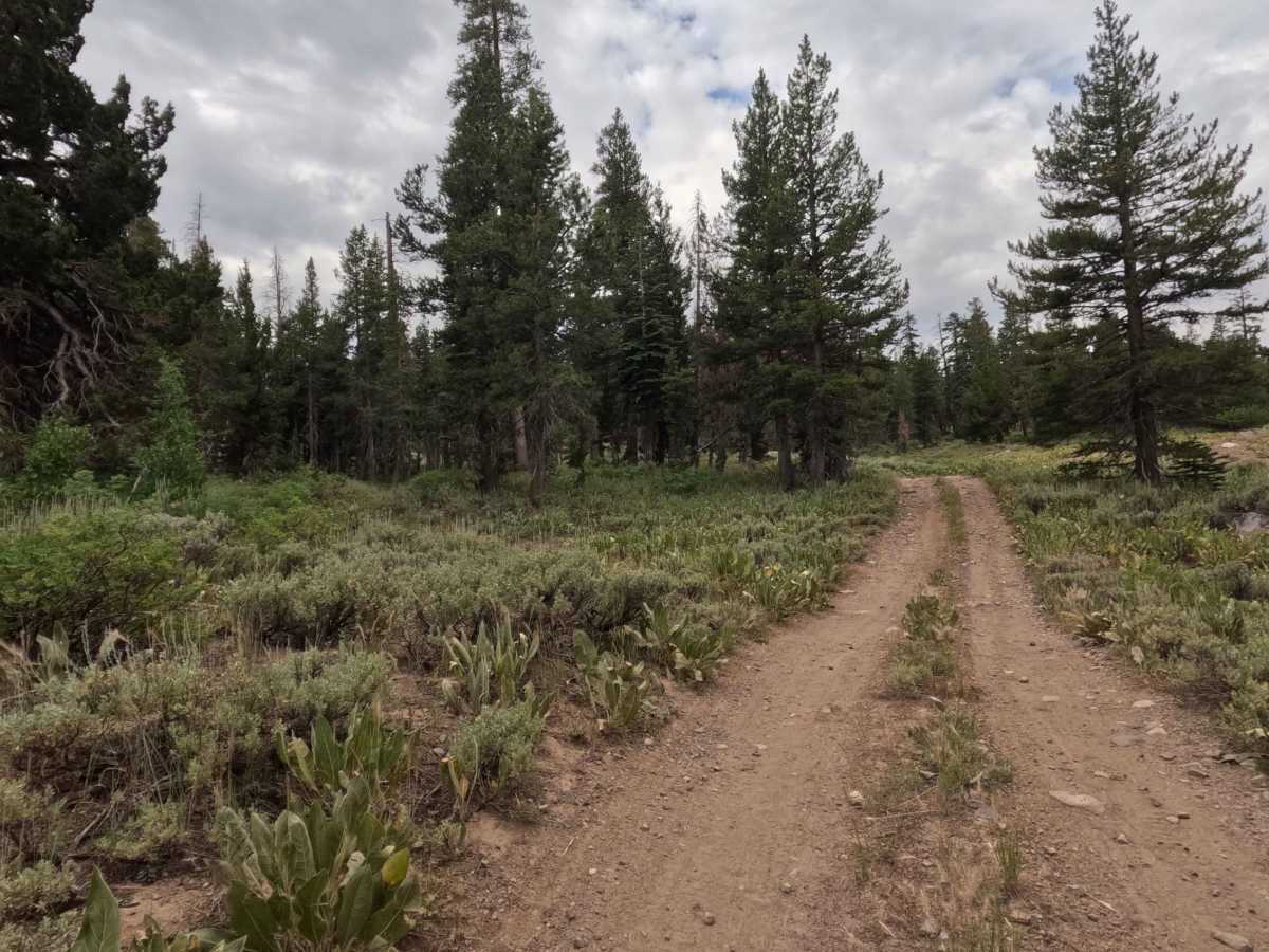 Lower Charity Spur A - FS 31206A photo 6