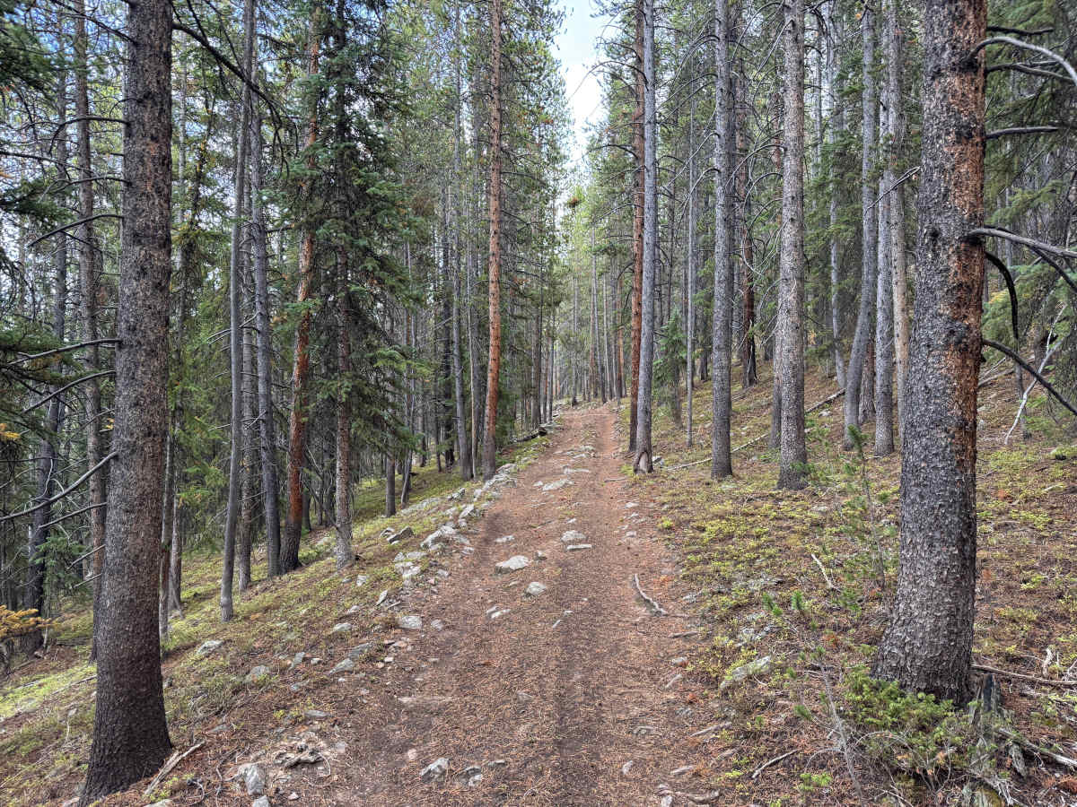 Jones Gulch Way Road photo 5