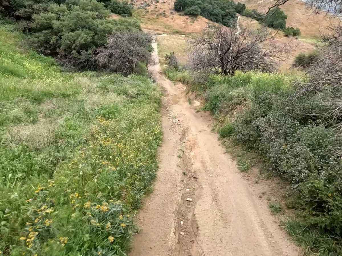 Lower Brome Trail photo 4