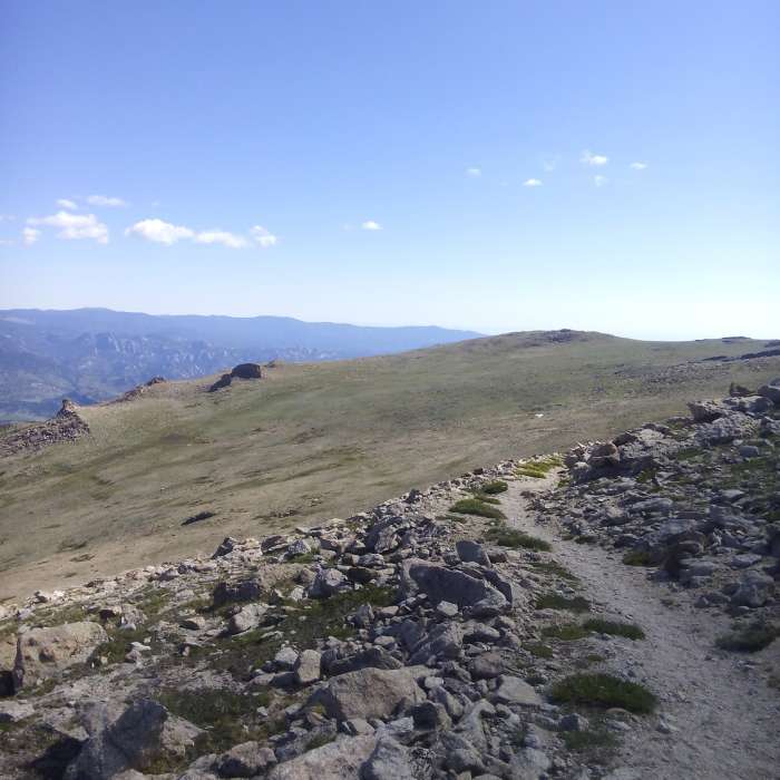 Near North Longs Peak Trail