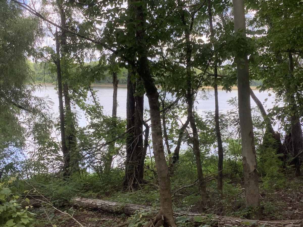 Sherburne Wildlife Management Area (WMA) Trail photo 5