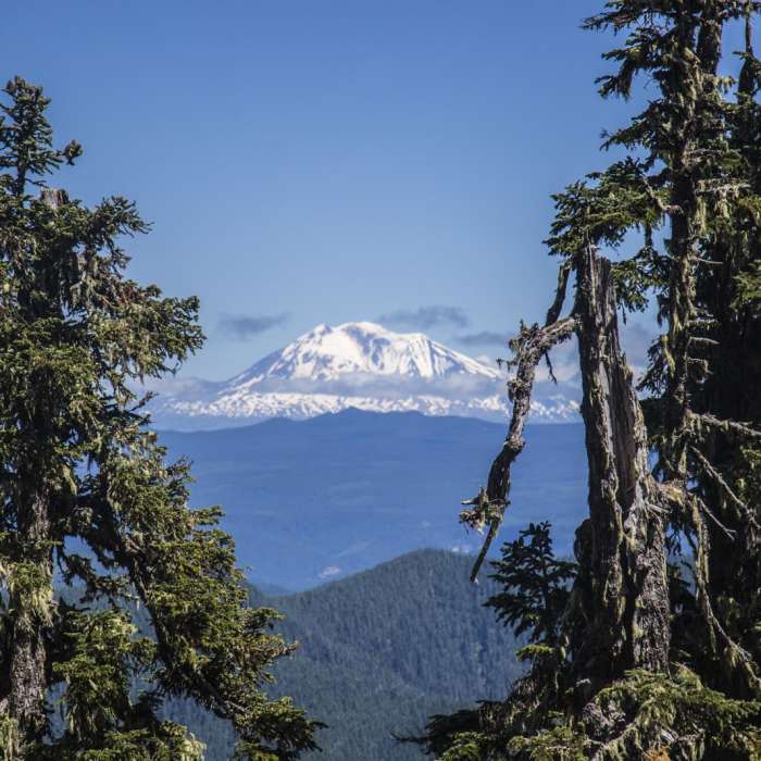 Near Soda Peaks Lake