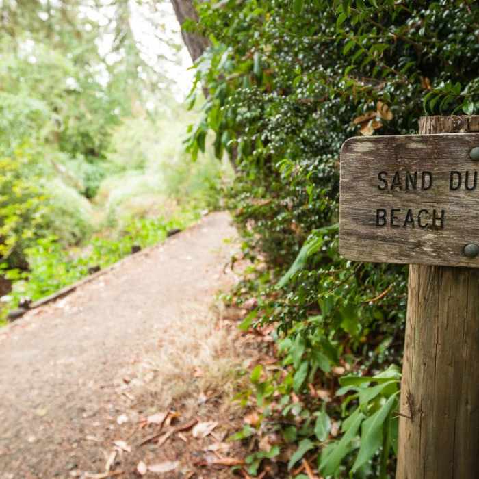 Near John Dellenback Trail