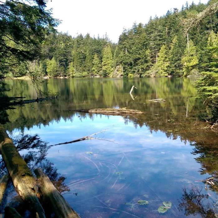 Near Twin Lakes Trail