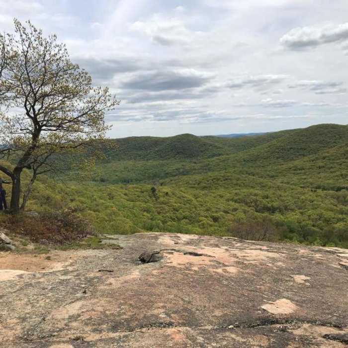 Near Bear Mountain Loop