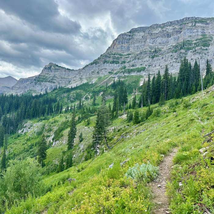 Near Continental Divide Trail: Spotted Bear Pass Alternate