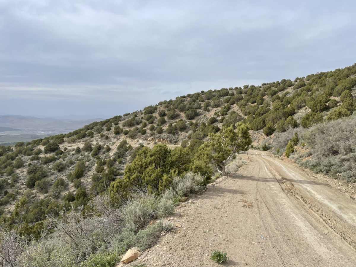 Big Mountain photo 6