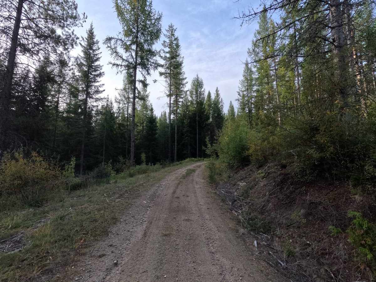 Johnson Creek - FS 7005350 photo 2