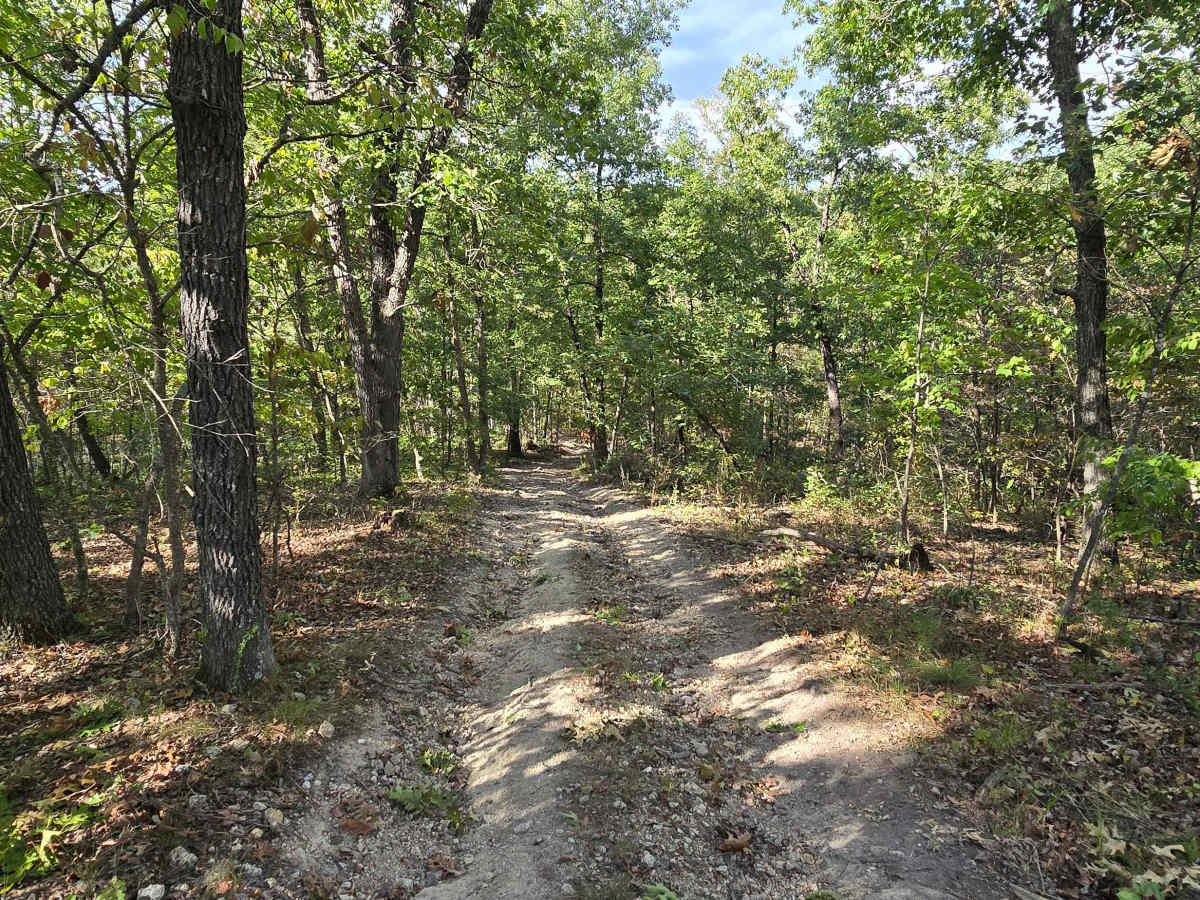Chigger Lane photo 5