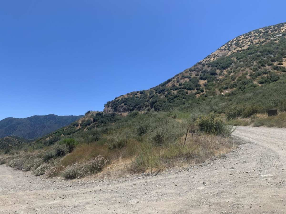 Sheep Canyon photo 3