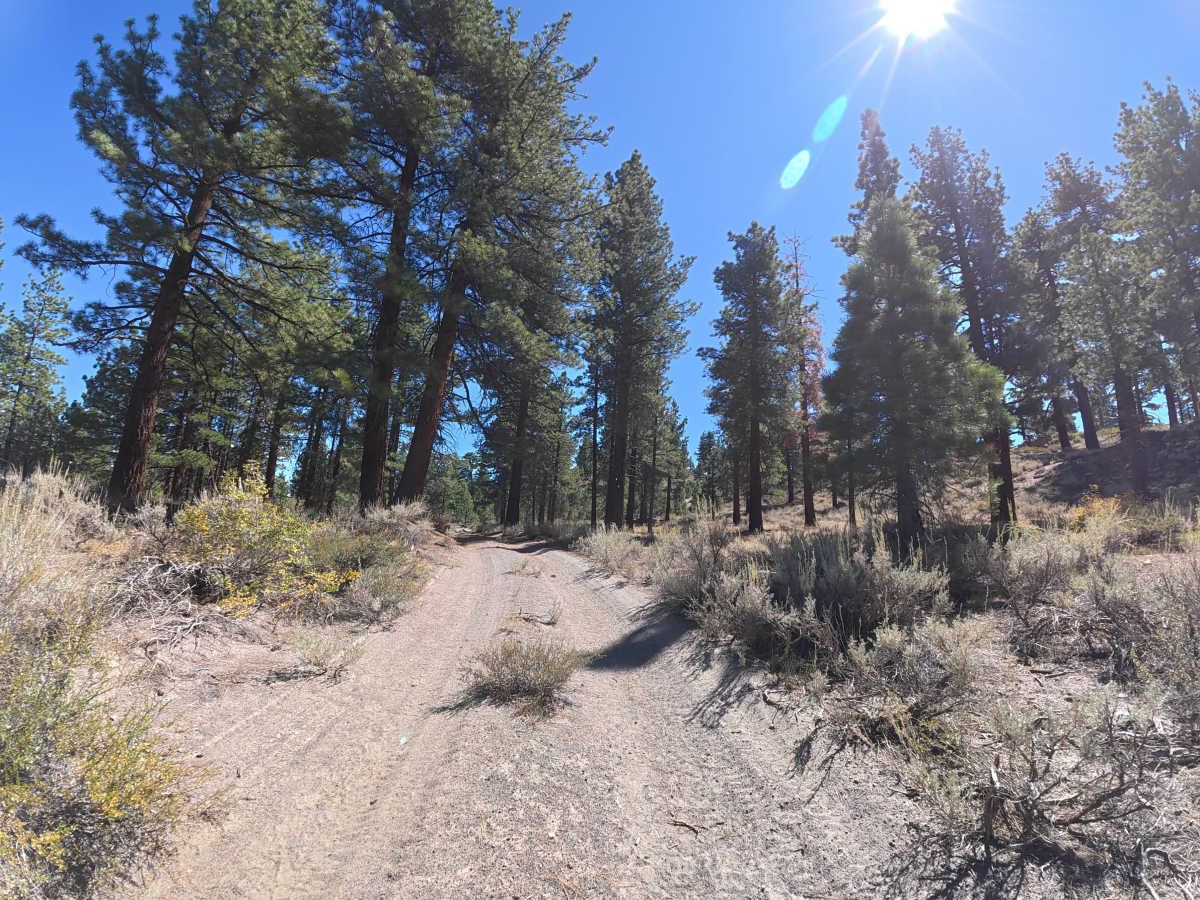 FS 3S60C trail photo