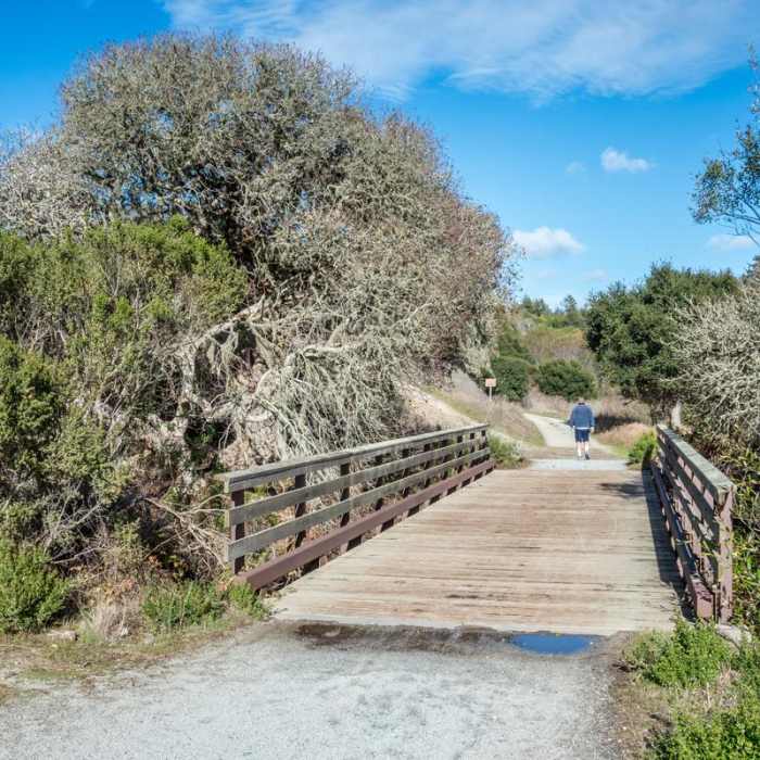 Near Cowboy Hiking Trail