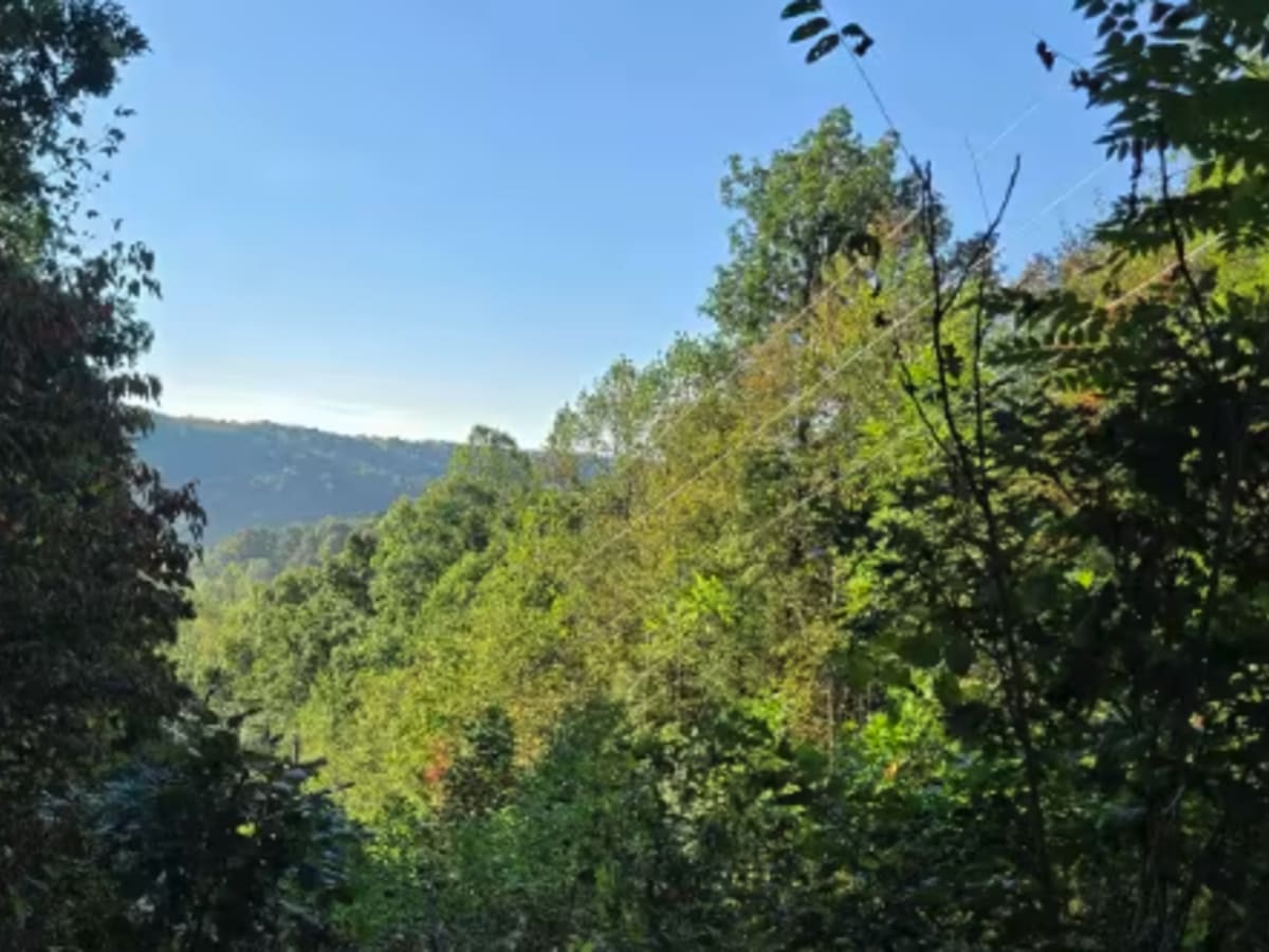 Real Ridge Road photo 6