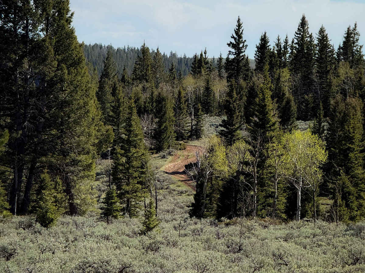 Little Brush Creek #153  photo 3