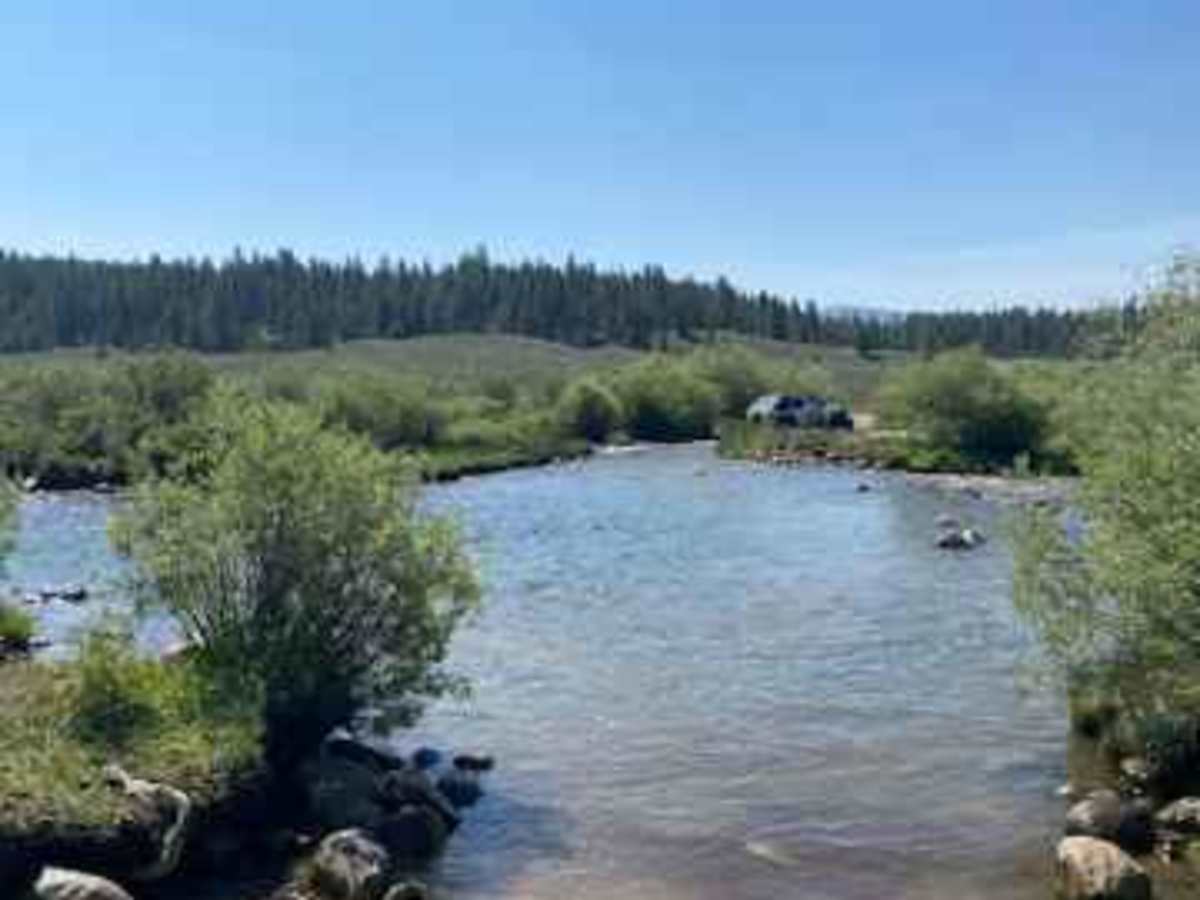 Texas Creek (FSR 755) photo 3