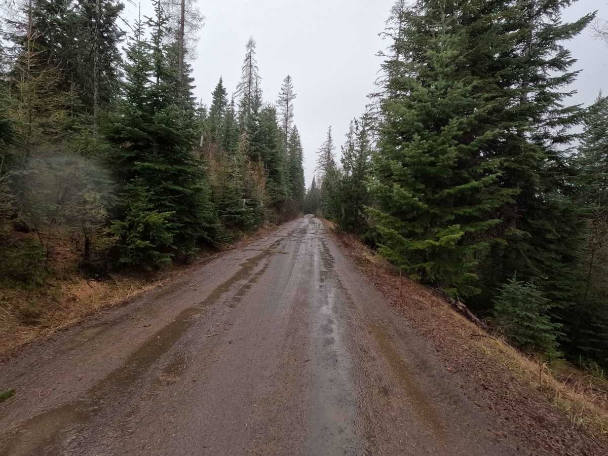 Palmer Junction - FS 6231 photo 5