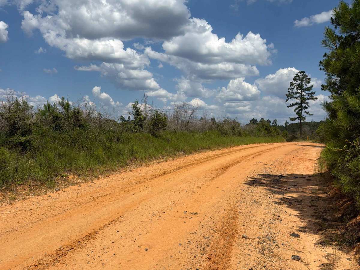 Paulk Road photo 2