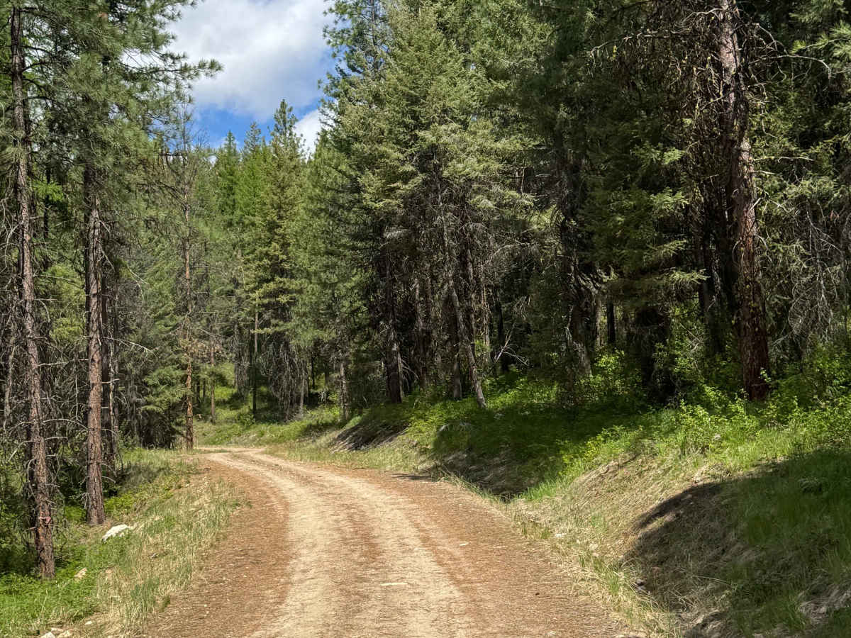 Bridge Creek - FS 2020-120 photo 6