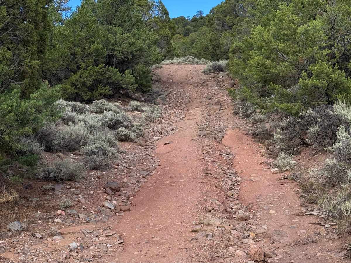 BLM 2723 photo 6