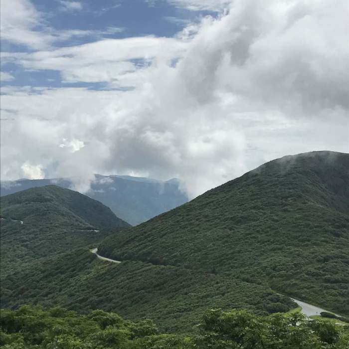 Near Craggy Pinnacle Trail