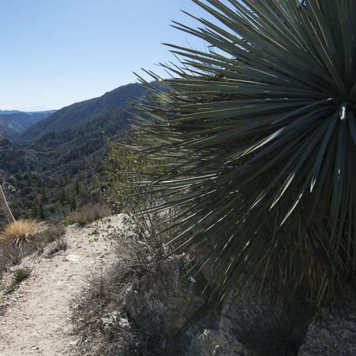 Near Devils Canyon Trail Hike