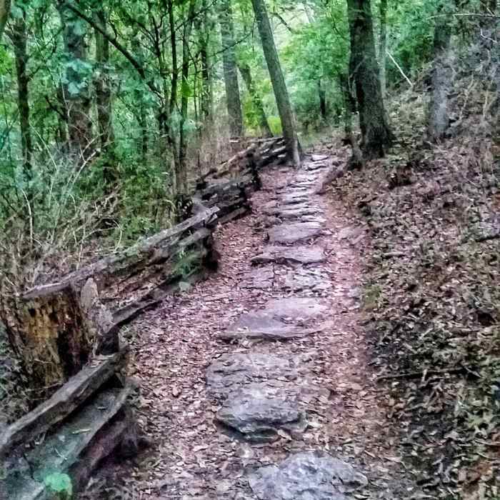 A stone-step path heads to higher ground on the Nature Center Trail. Near Springfield Conservation Nature Center Loop