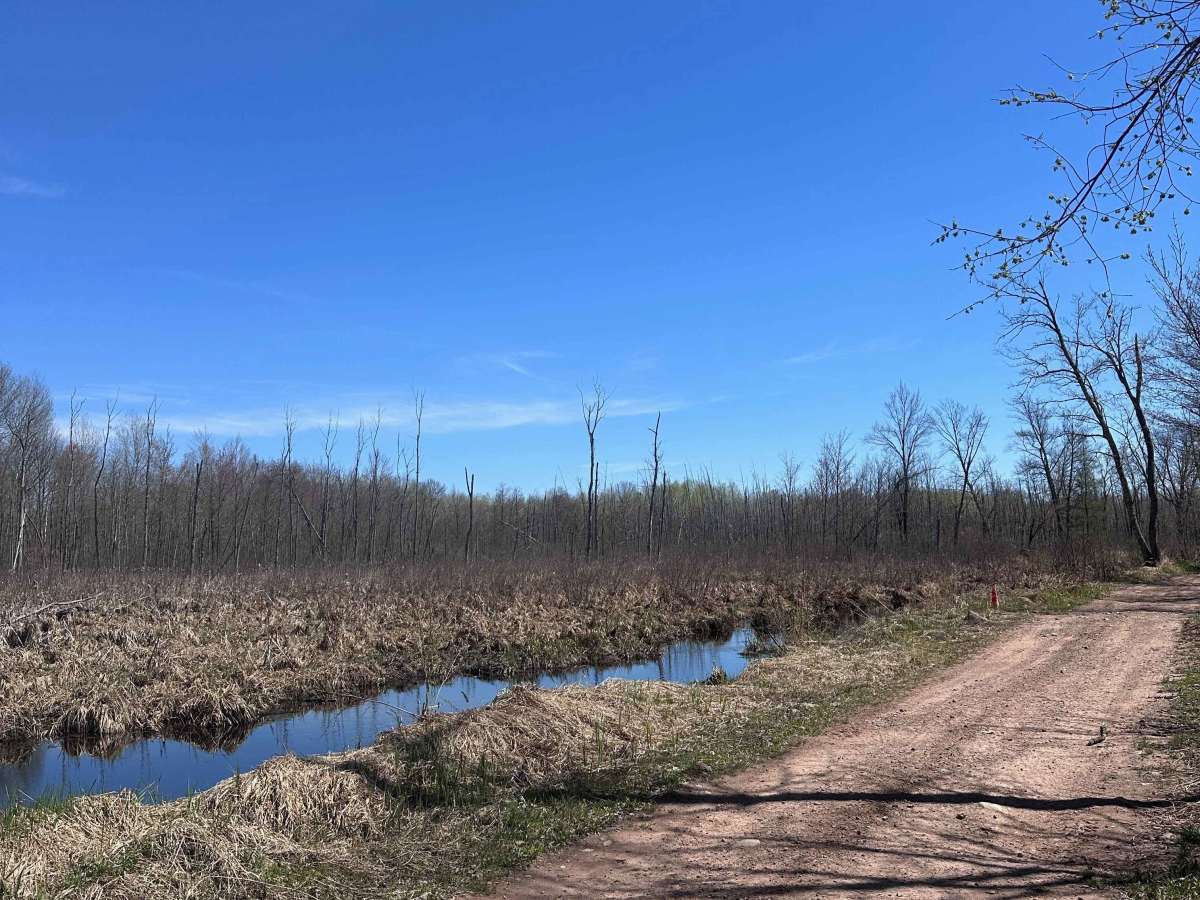 Churchill Lake Trail photo 6