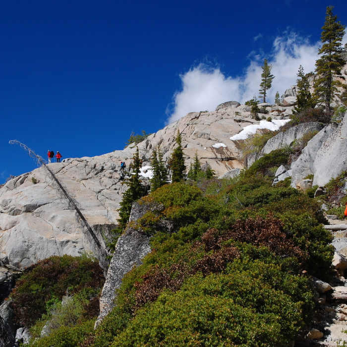 Near TYT: Meeks Bay Trail