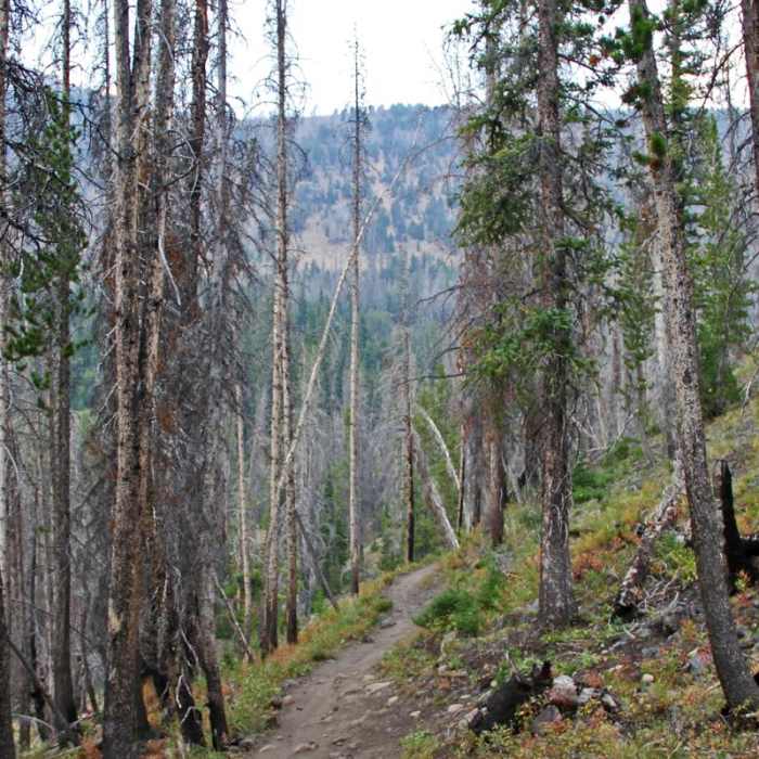 Near Washington Lake