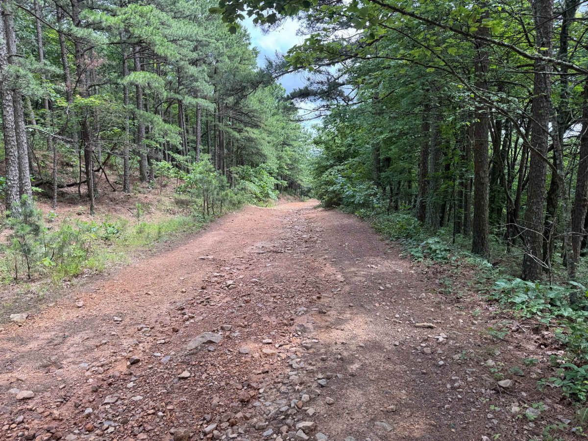 Buck Knob photo 3