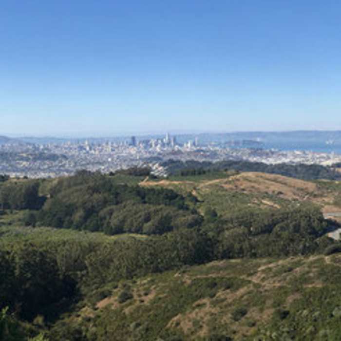 Near Summit Loop Trail