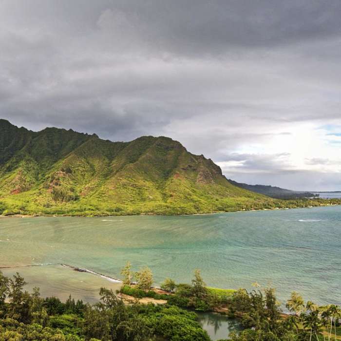 Near Pu'u Manamana Turnover Trail Near Pu'u Manamana Turnover Trail