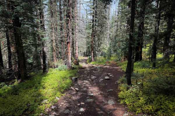 Trail 22A 