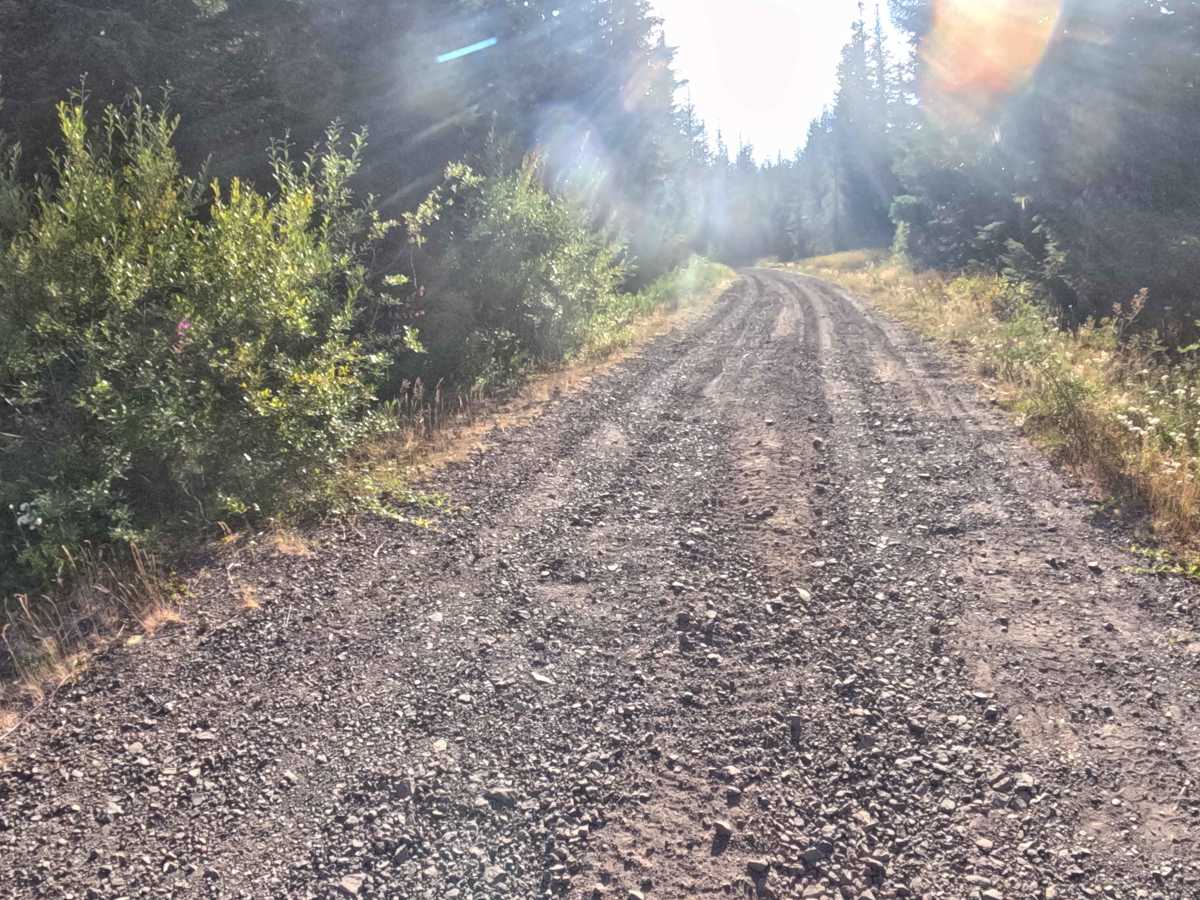 Trappers Butte - FS 1161 photo 2