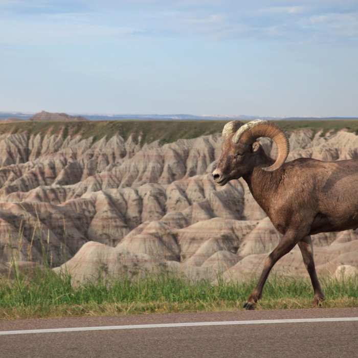 Near Fossil Exhibit Trail Near Fossil Exhibit Trail