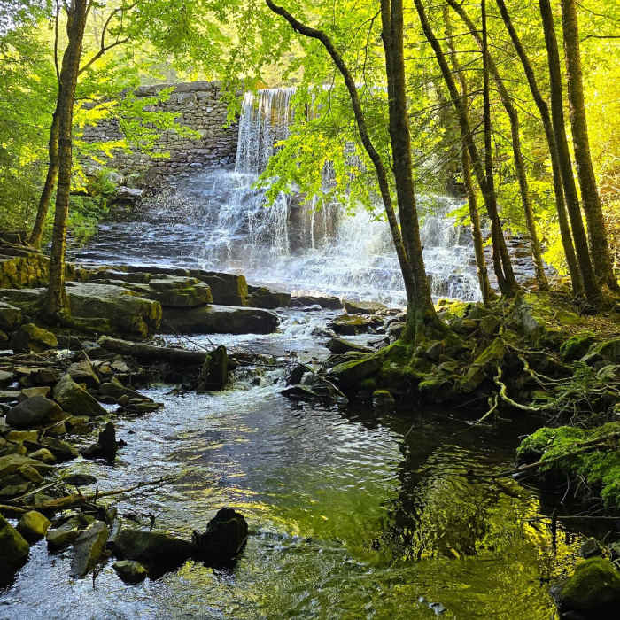Near Shades of Death Trail