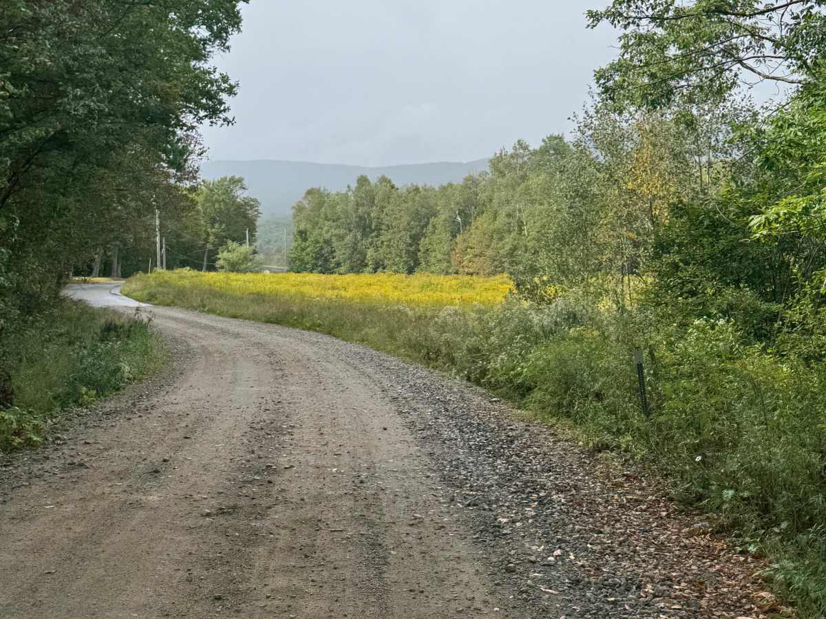 Pine Mountain Notch (Dolly Copp Rd) photo 6
