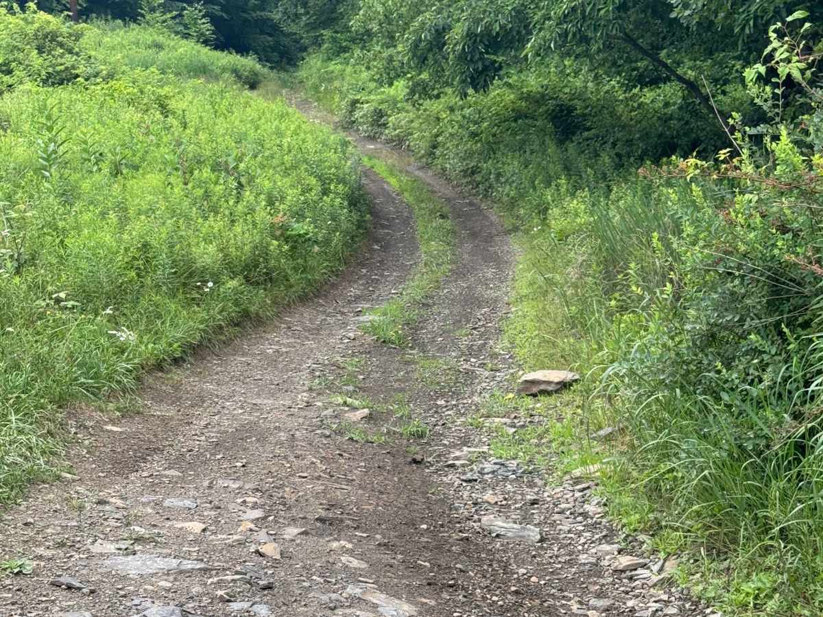 Trail 66 photo 4
