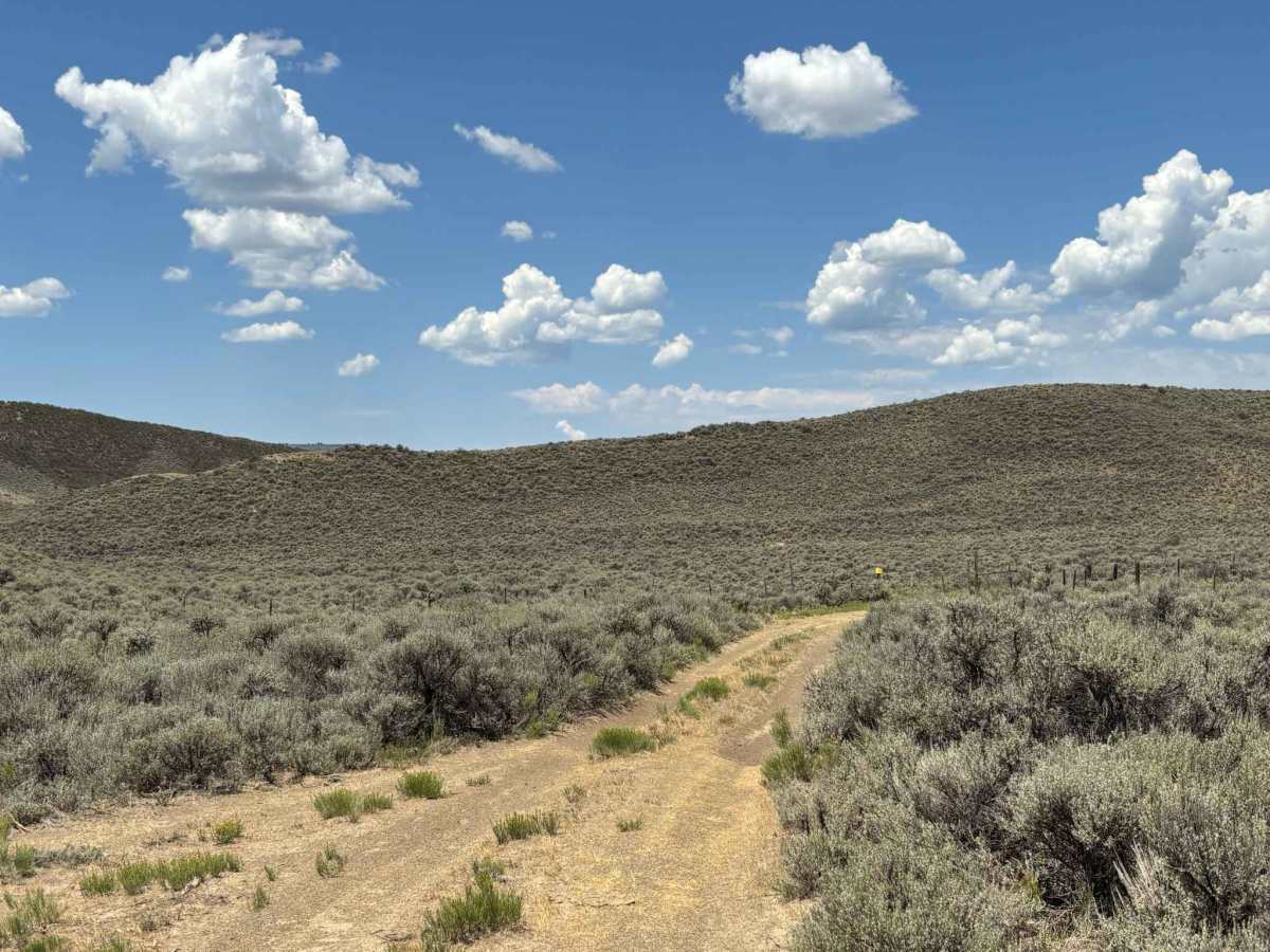 Kremmling Cretaceous Ammonite Locality Loop photo 2
