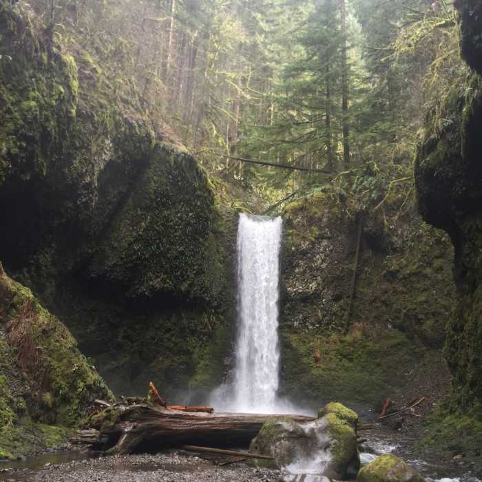 Near Wahkeena Trail #420