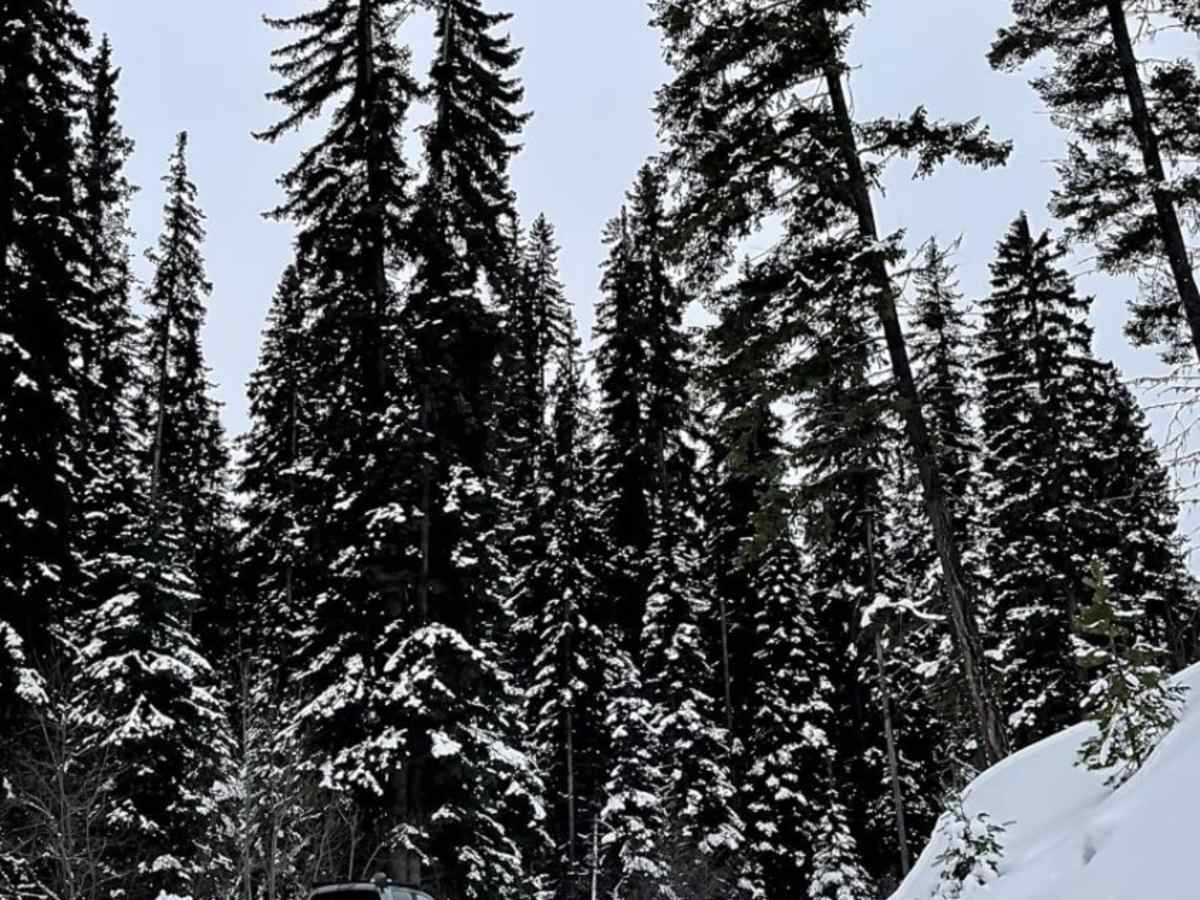 Oyma Lake Road trail photo