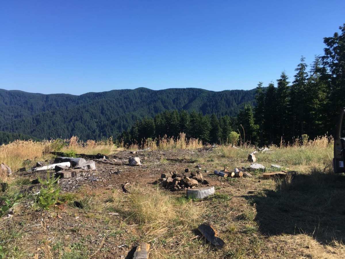 Route 5506 - Siuslaw Natl Forest photo 5