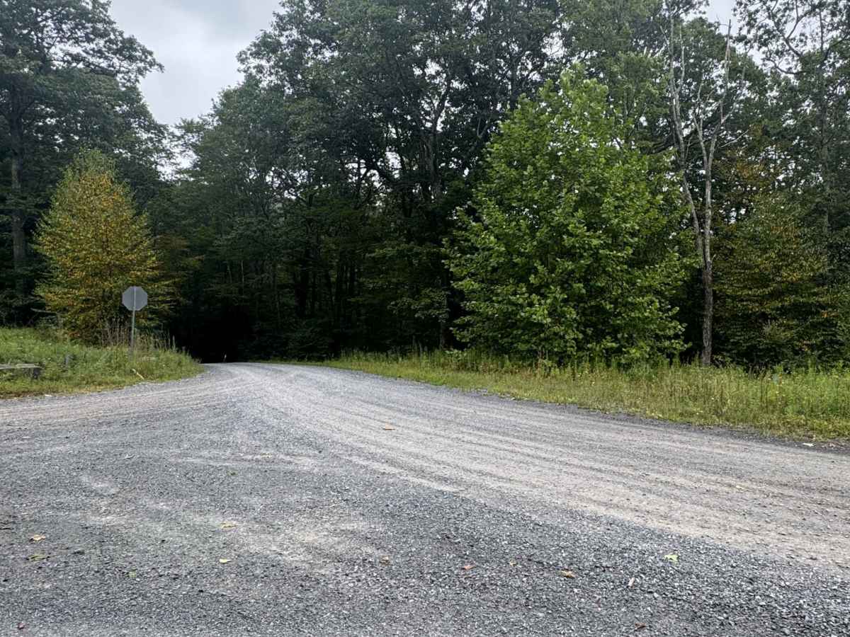 Long Run Road trail photo